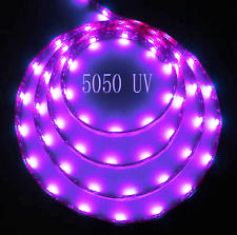 LED 5050 150 LEDS ULTRA VIOLET 5 METERS