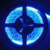 LED 3528 600 LED BLUE NON WATER PROOF 5 METERS
