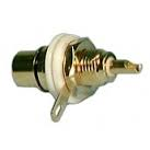 GOLD RCA JACK ISOLATED 2/PKG